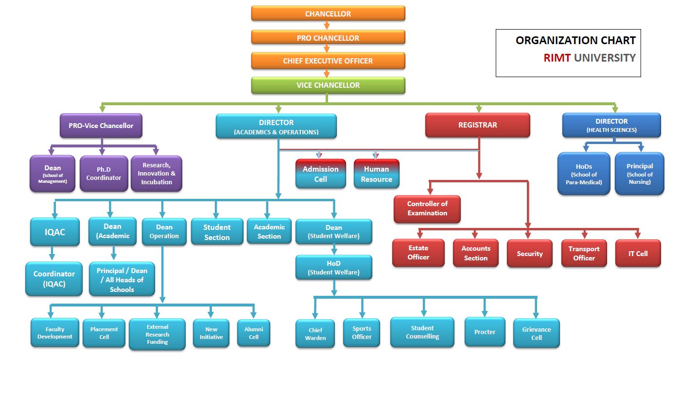 RIMT Organization Chart
