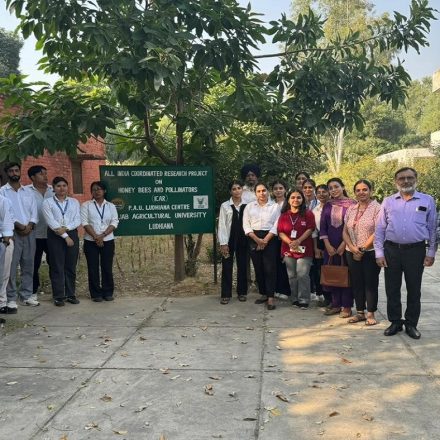 RIMT University Students Visit Apiculture Department of the PAU