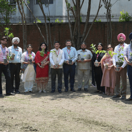 Plantation Drive Organized at RIMT University to Promote Environmental Sustainability